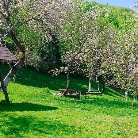 Під Горою Villa Шешори Екстериор снимка