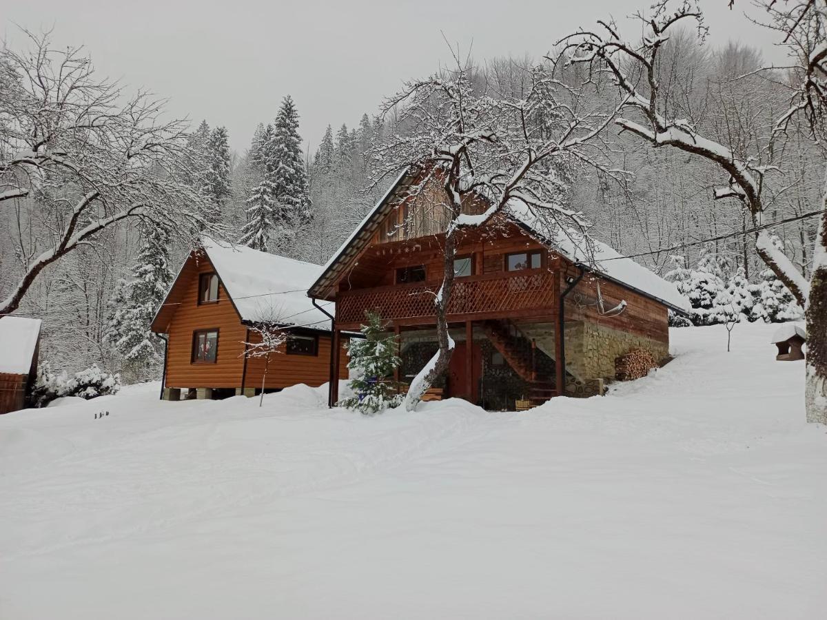 Під Горою Villa Шешори Екстериор снимка