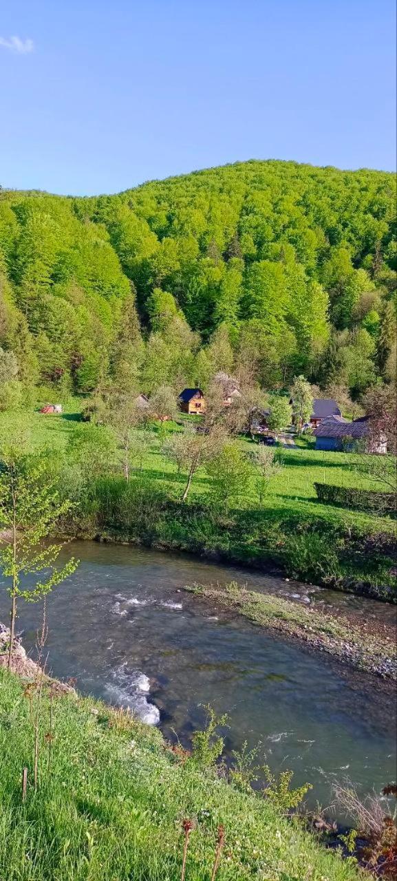 Під Горою Villa Шешори Екстериор снимка