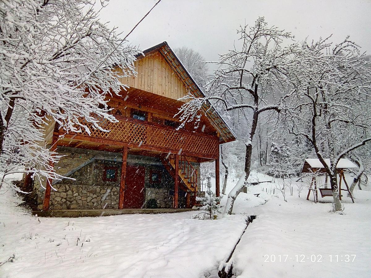 Під Горою Villa Шешори Екстериор снимка